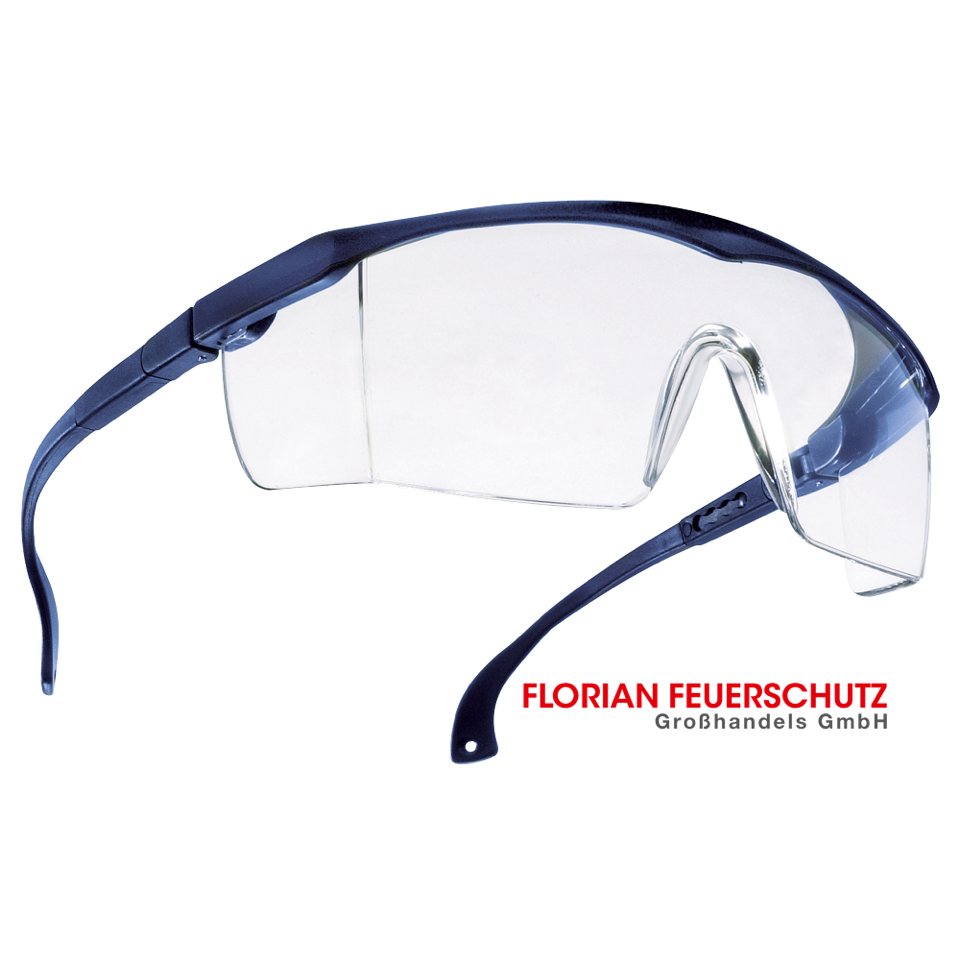 SCHUTZBRILLE BASIC TECTOR®
